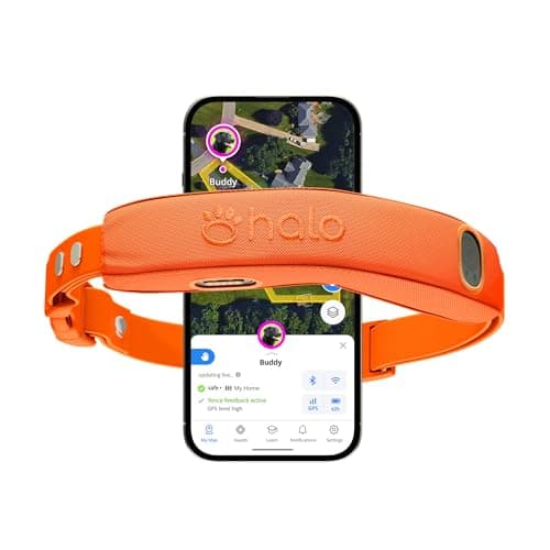 Halo Halo Collar 5