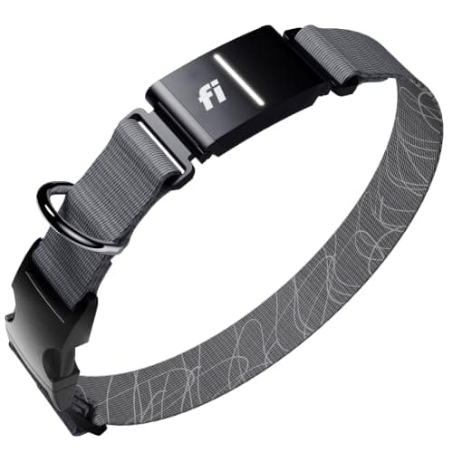 Fi Fi Series 3+ GPS dog collar