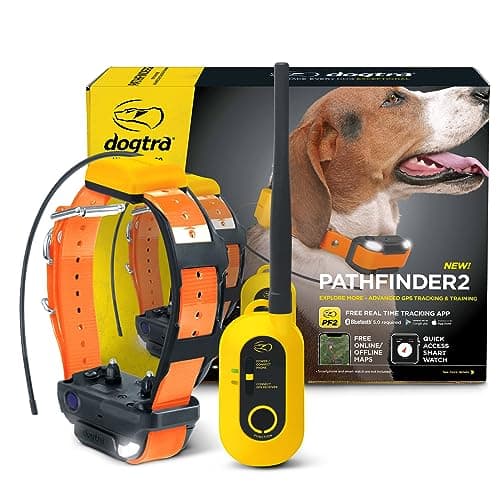 Dogtra Dogtra Pathfinder 2