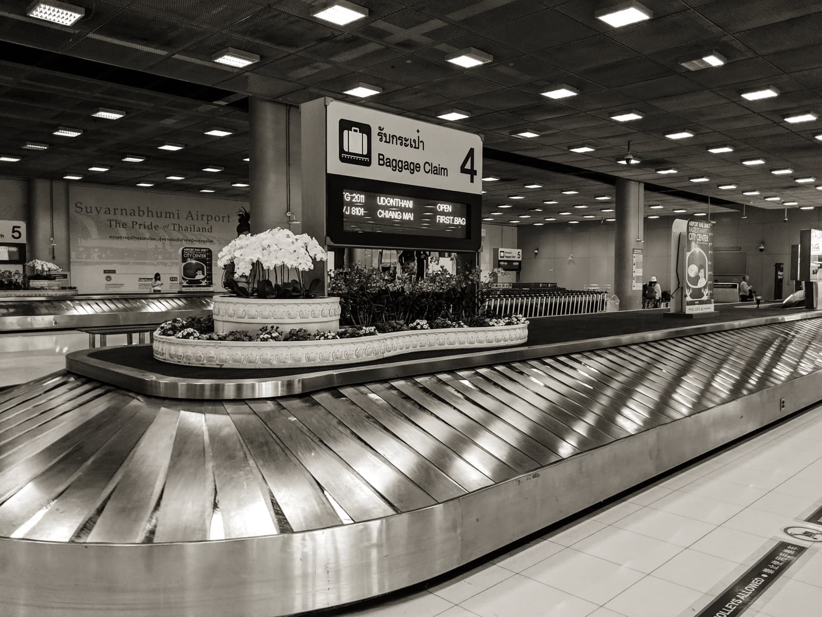 Suitcases on an airport baggage carousel